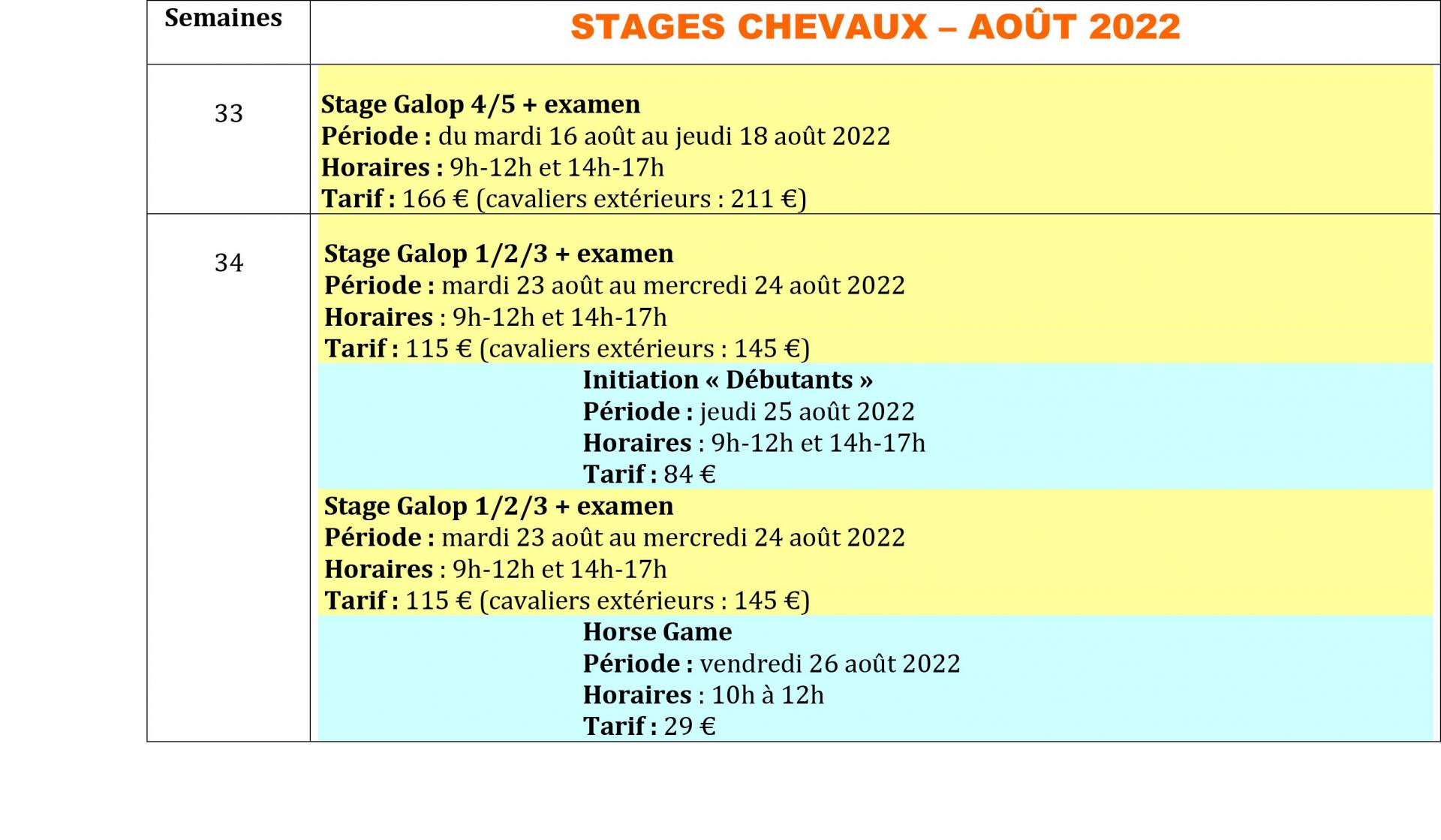 Stage chevaux ete 2022 3