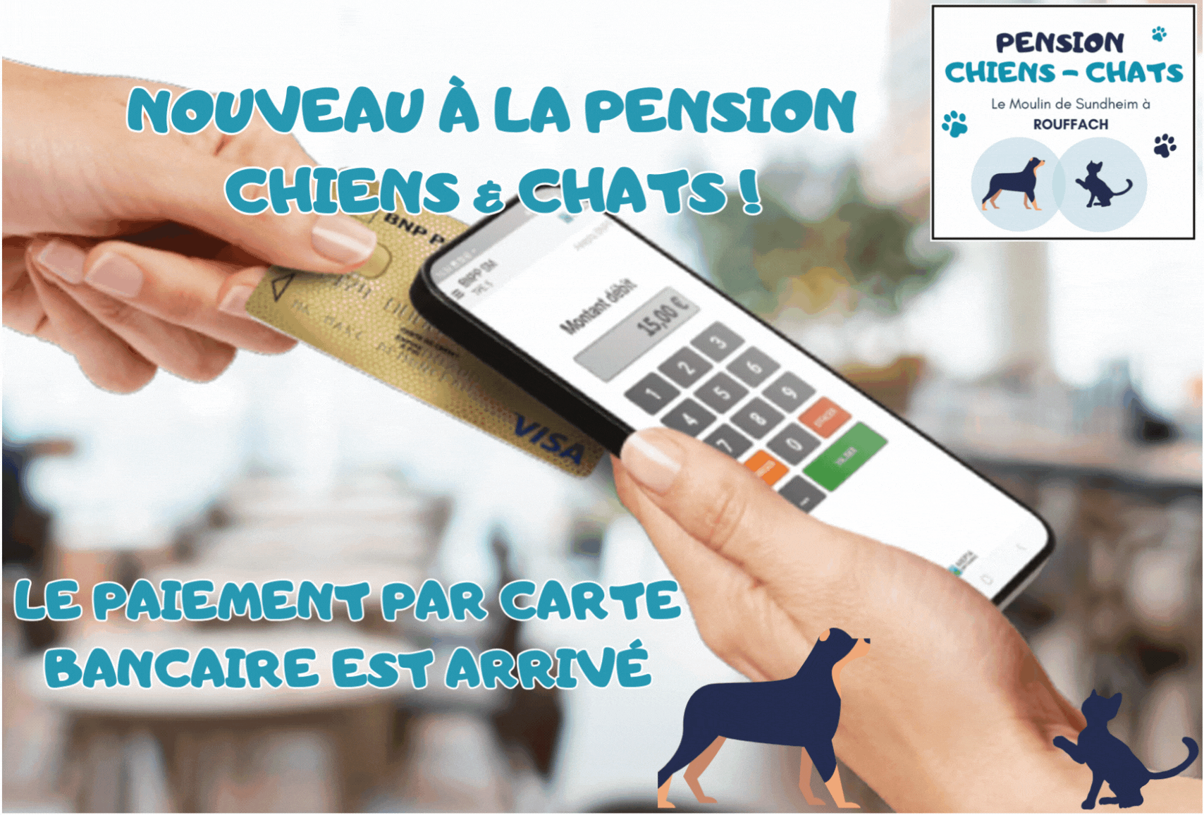 Nouveau a la pension chiens chats 2