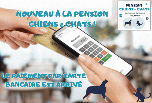 Nouveau a la pension chiens chats